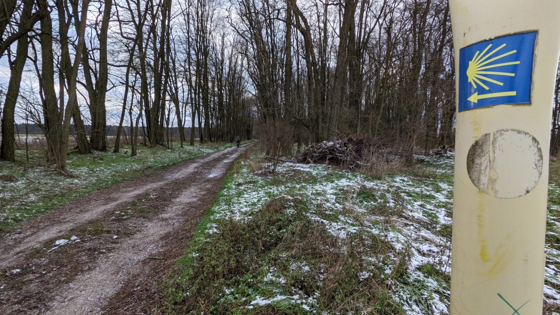 Auf dem Jakobsweg von Werneuchen nach Bernau
