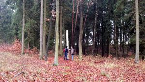 Der Kunstwanderweg Süd im Fläming mit ohne XR - Teil II Bad Belzig 6 Kunstwanderweg Porzellanbaum 2013