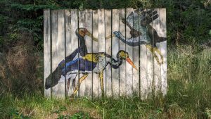Der Kunstwanderweg Süd im Fläming mit ohne XR - Teil II Bad Belzig 8 Kunstwanderweg – Schwarzstörche im Fläming