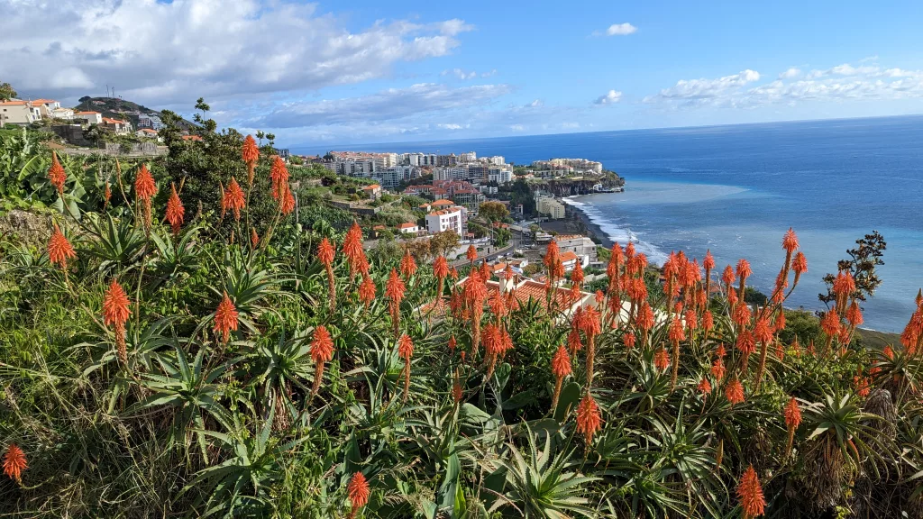 Madeira Levada in Funchal