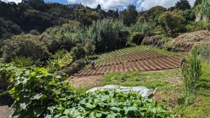 Santana Tag 2 - wechselhaft - dann heiß. Verlaufen war toll