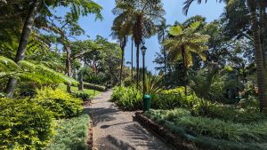 Funchal Stadtgarten