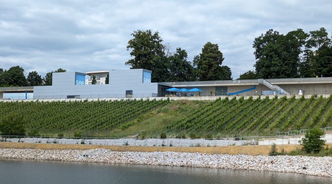 Weinhang am Großräschener See