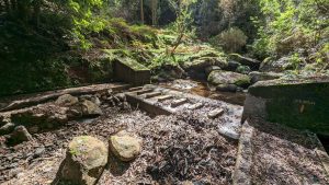 Die Levada da Silveira