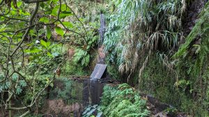 Santana "Stadt"-Levada do Cantinho - Wasserfall