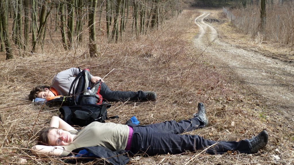 66-Seen Leuendorf Falkenberg