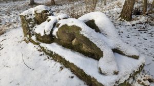 Winterwanderung über die "Pieselfelder" im Naturpark Barnim 5 Ritter eiskalt