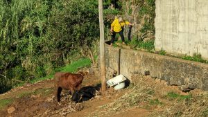Schwierig: Die Levada do Curral in Funchal
