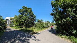 Aus Süden zur Yorckbrücke 5 - hier abbiegen!
