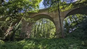 Im Dschungel des Blabbergrabens: Das Viadukt Lindenberg