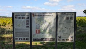 Auf dem Oderbruchbahn-Radweg - 120 km von Wriezen nach Fürstenwalde 4 Meist sind es drei Tafeln im Set