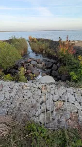 Spreewasser füllt den Ostsee