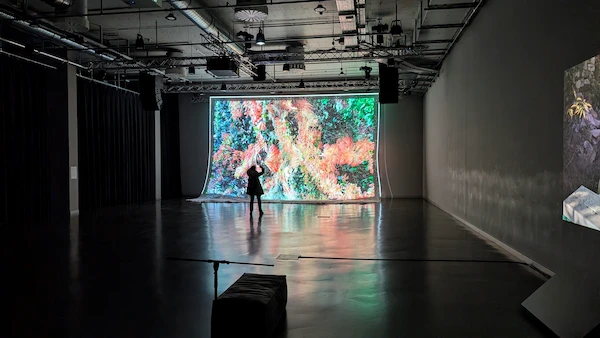 Blumen fließen in den Leichenkeller