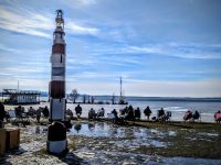 Müggelsee Winterwanderung mit Sonnenschein