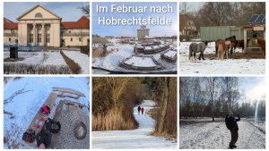 260220 Wanderung nach Hobrechtsfelde