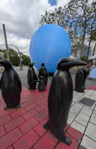 Tierische Kuriosität auf dem Gehweg: Die Chemnitzer Bronze-Pinguine