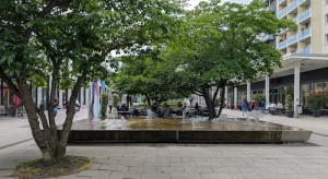 Am Brunnen im Rosenhof