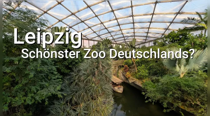 Leipzig: Der „schönste Zoo Deutschlands“? Ein März-Check zwischen Dschungel-Dampf und Savannen-Sonne