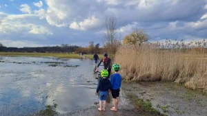 Hochwasser im Fließ - März 2023