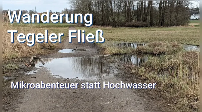 Tegeler Fließ - Pfütze statt Hochwasser