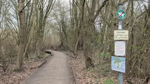 Umleitung - Ja oder Nein?