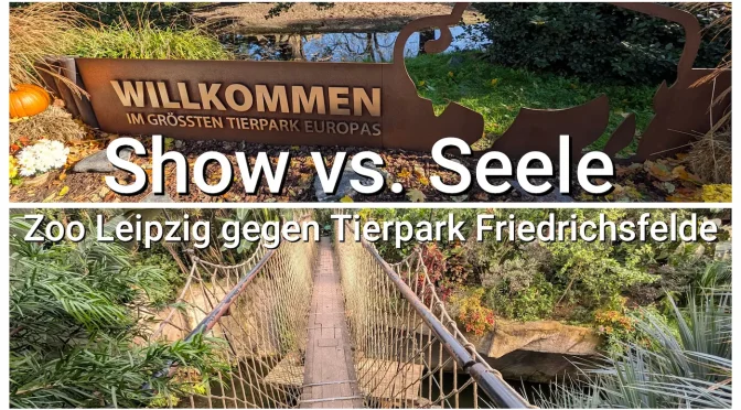 Zoo vs Tierpark