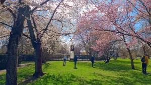 Britzer Garten - Gehölze blühen