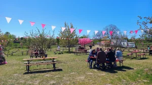 Eventgarten Pink & Pretty