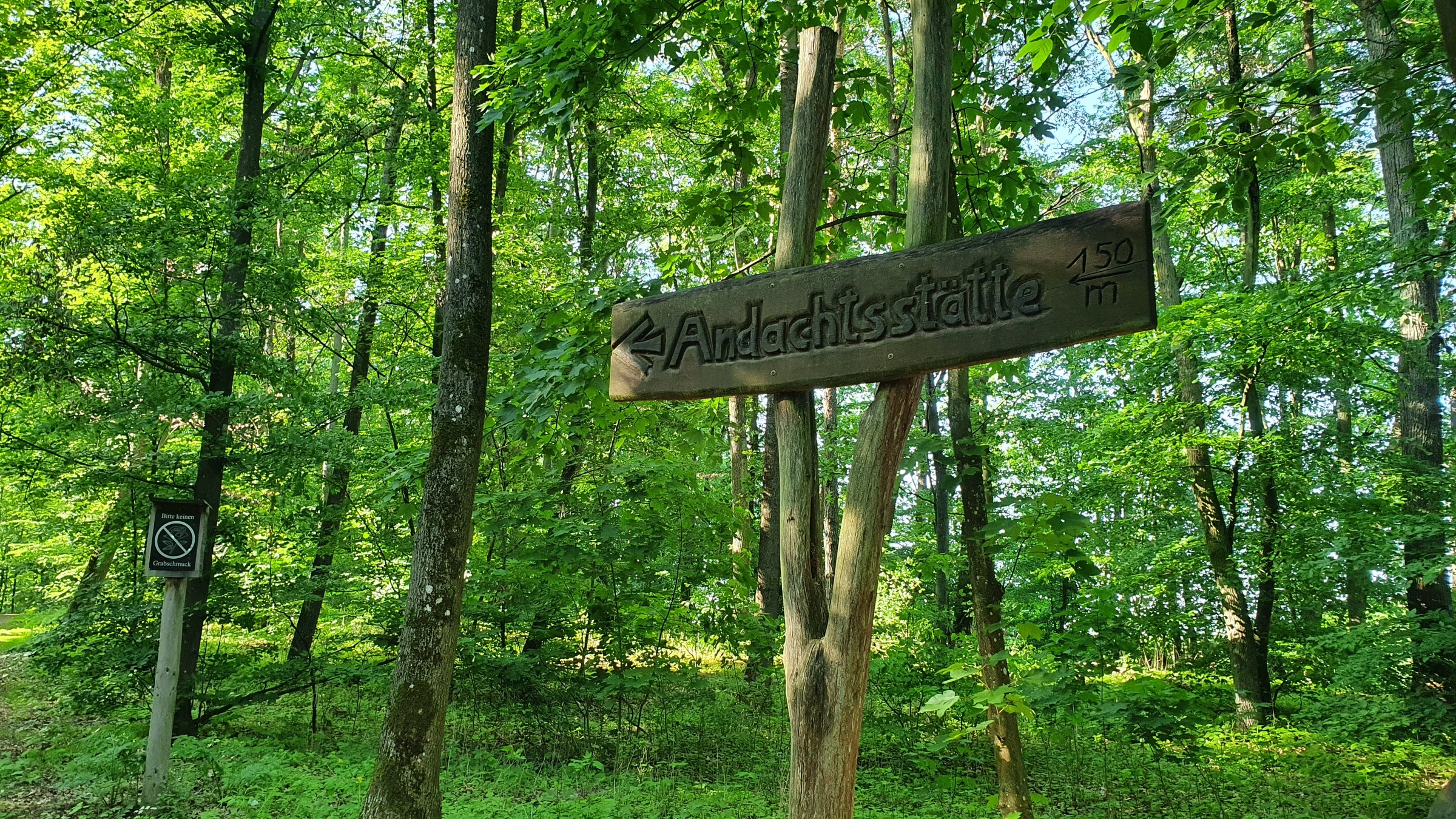 210530_Strausberg-013