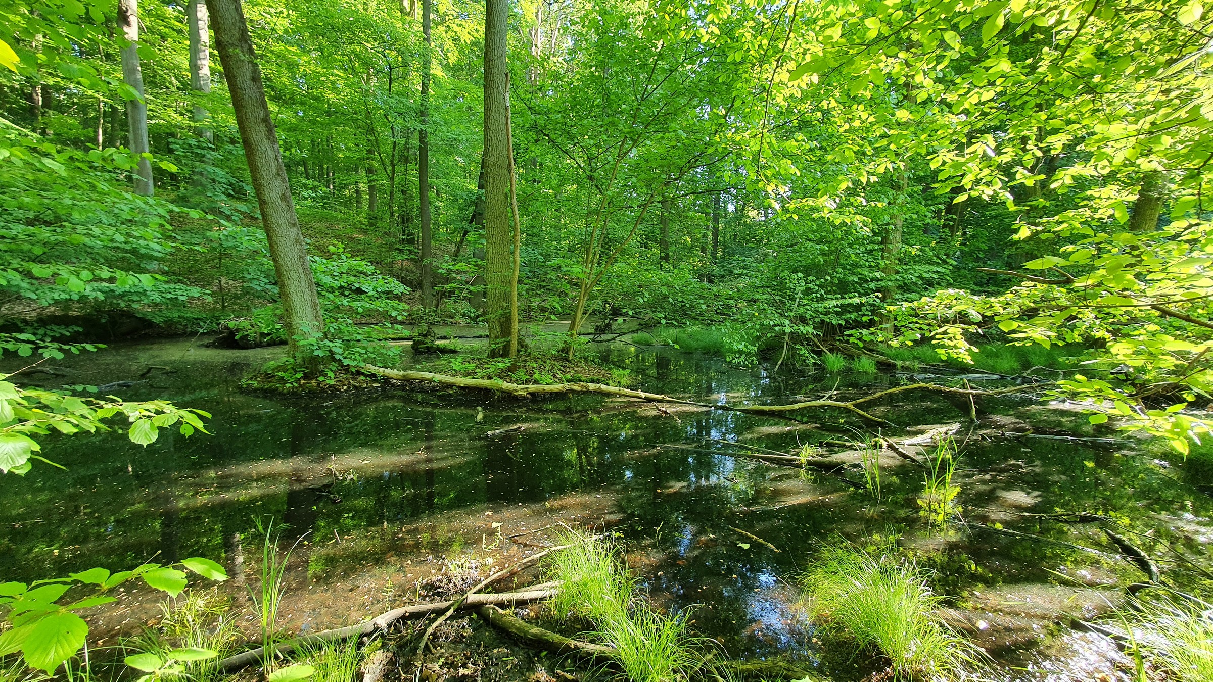 210530_Strausberg-016