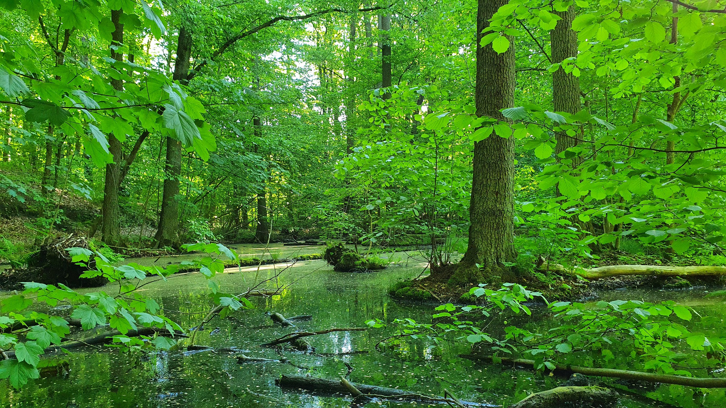 210530_Strausberg-017