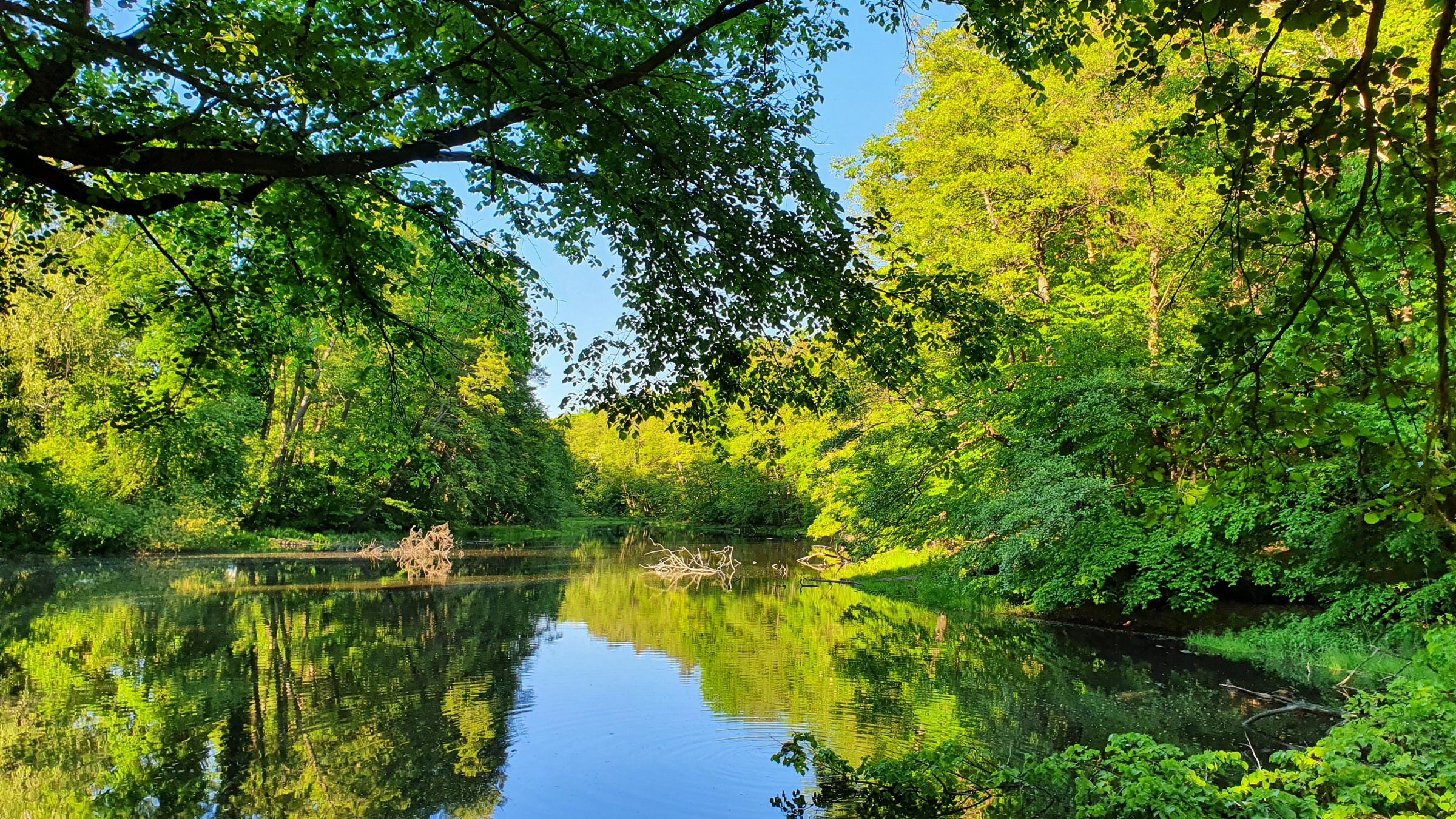 210530_Strausberg-018