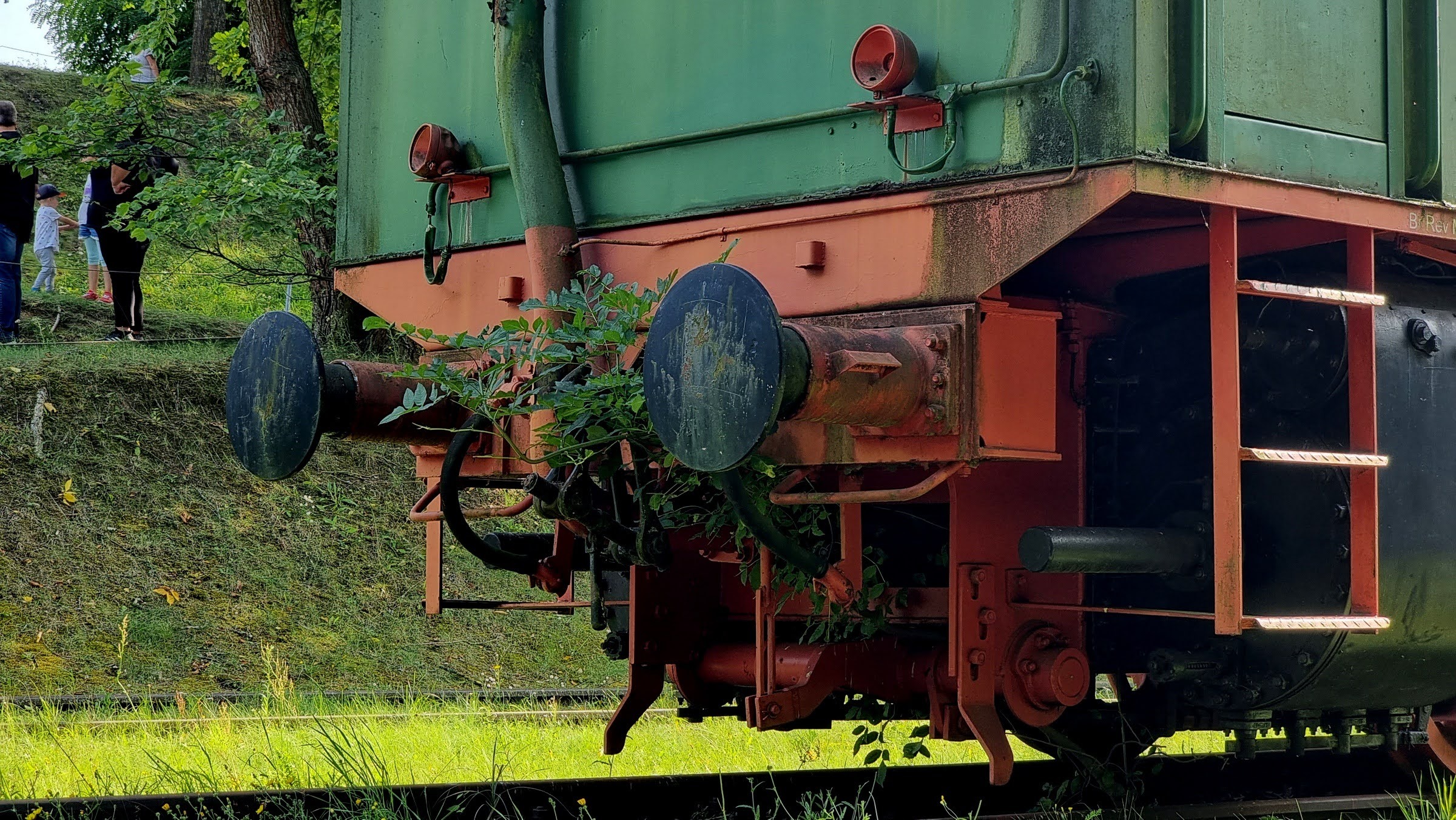 Familiengarten, die Natur geht ungewöhnliche Wege