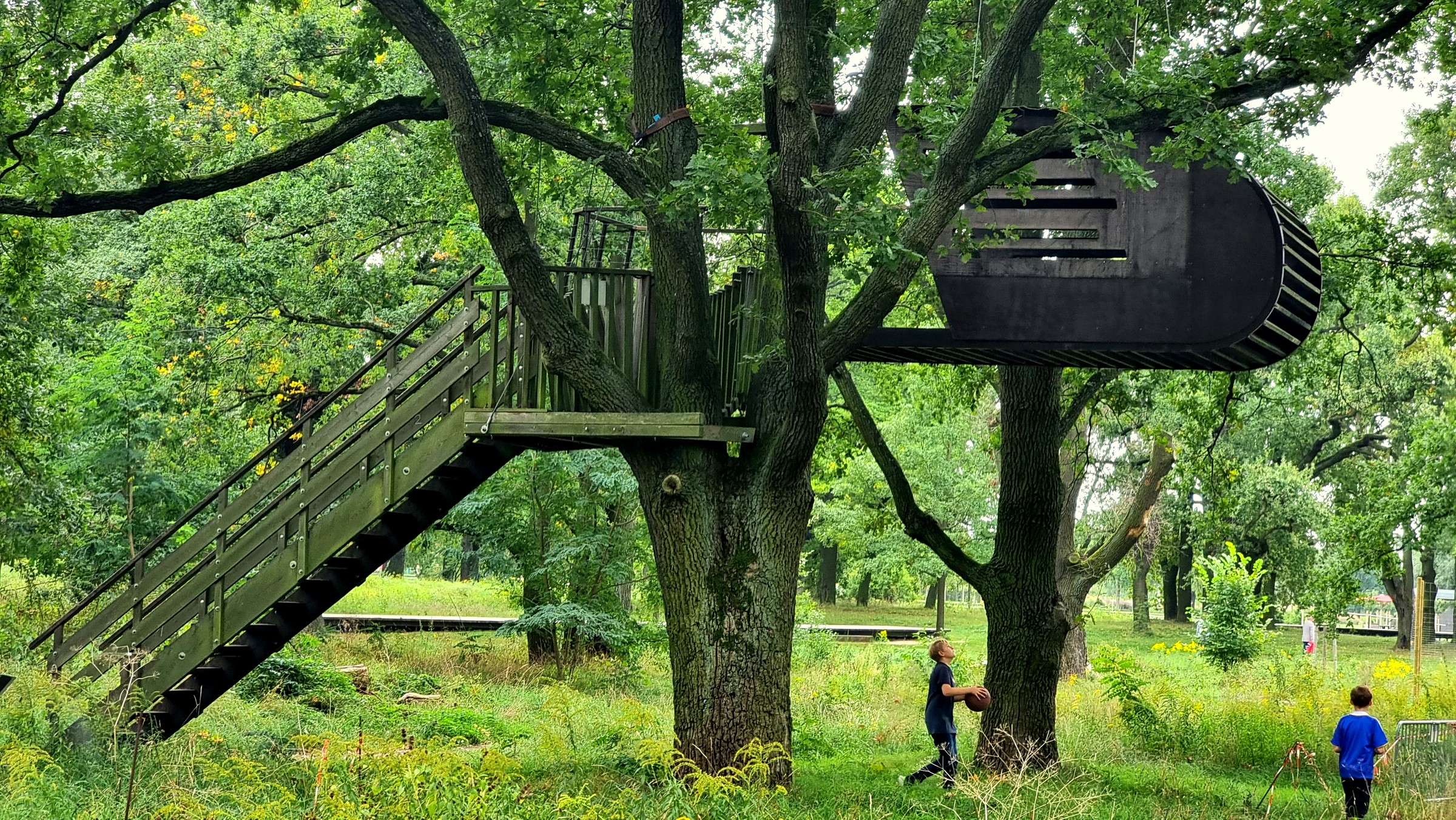 Das Baumhaus ermöglicht weiter Perspektiven