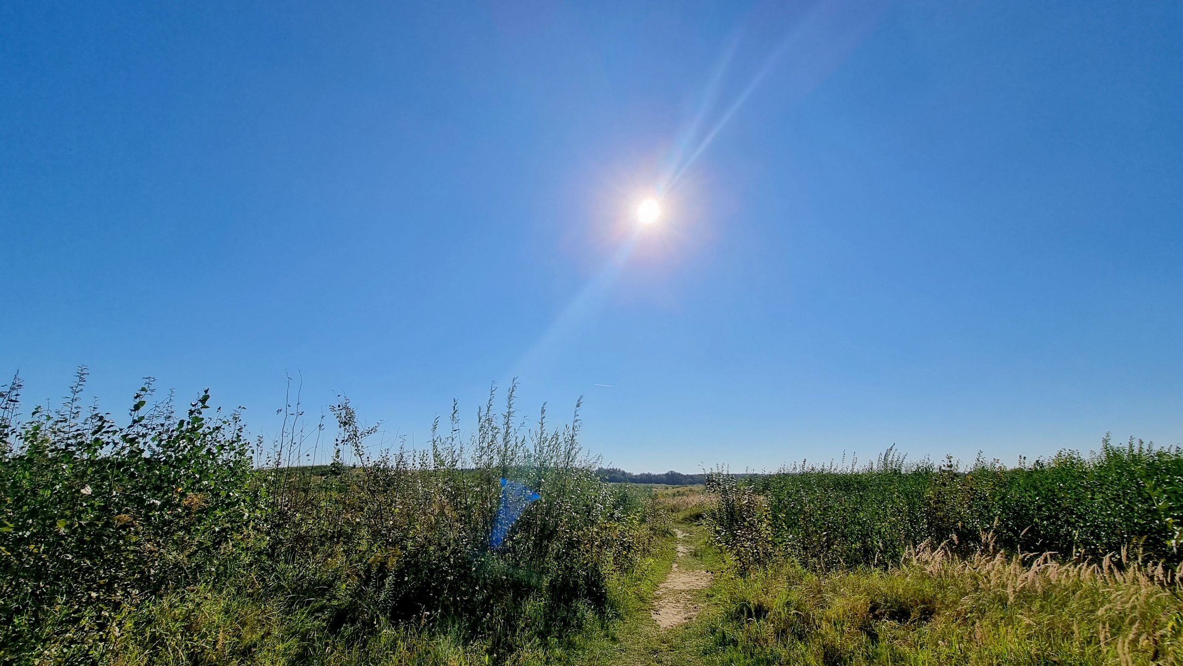 Die Rieselfelder am Hahneberg