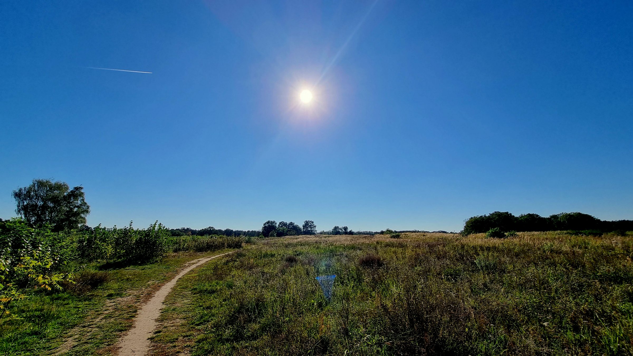 Feldwege in den Rieselfeldern