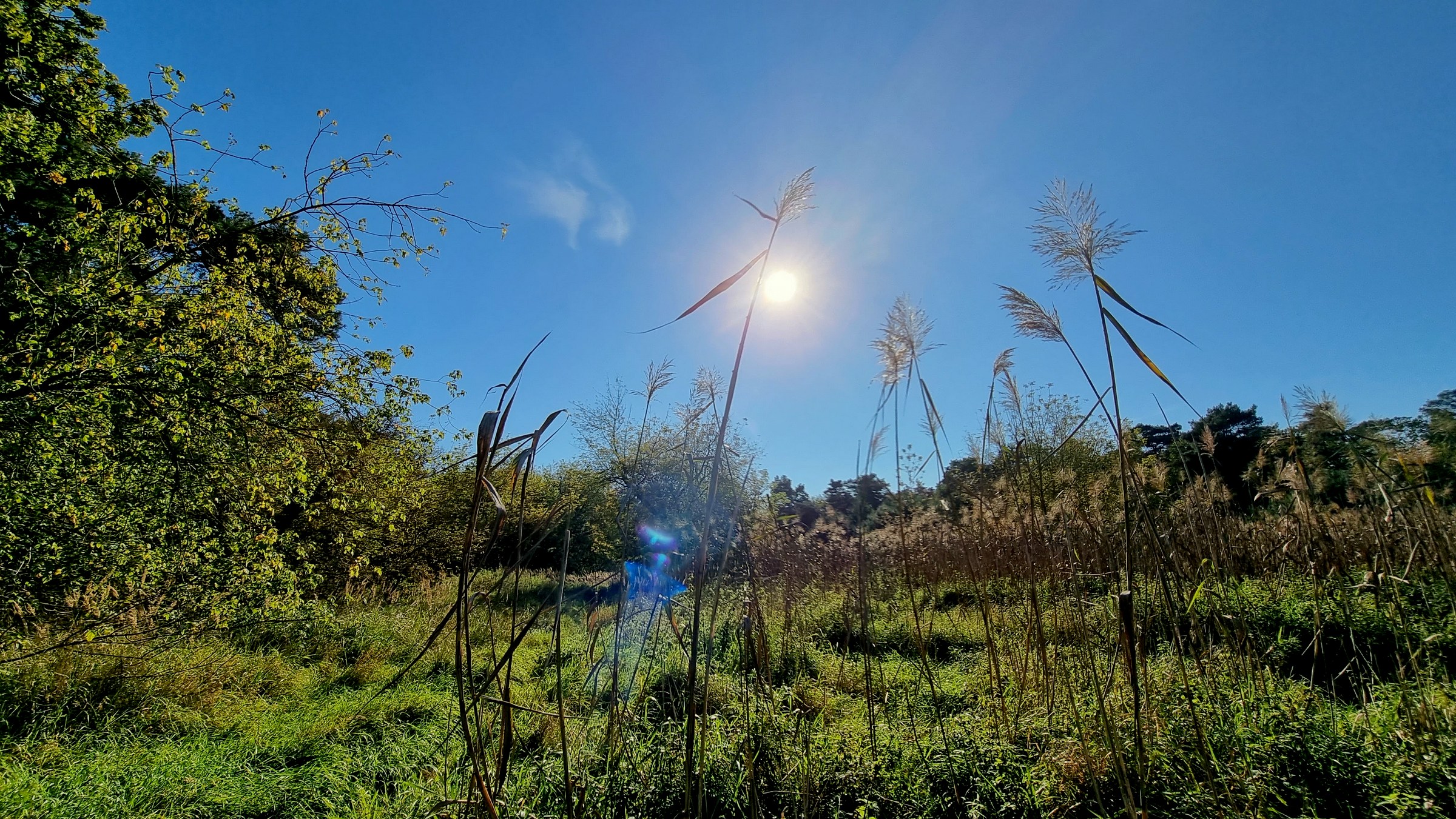 Feuchte Wiesen und schmale Wege