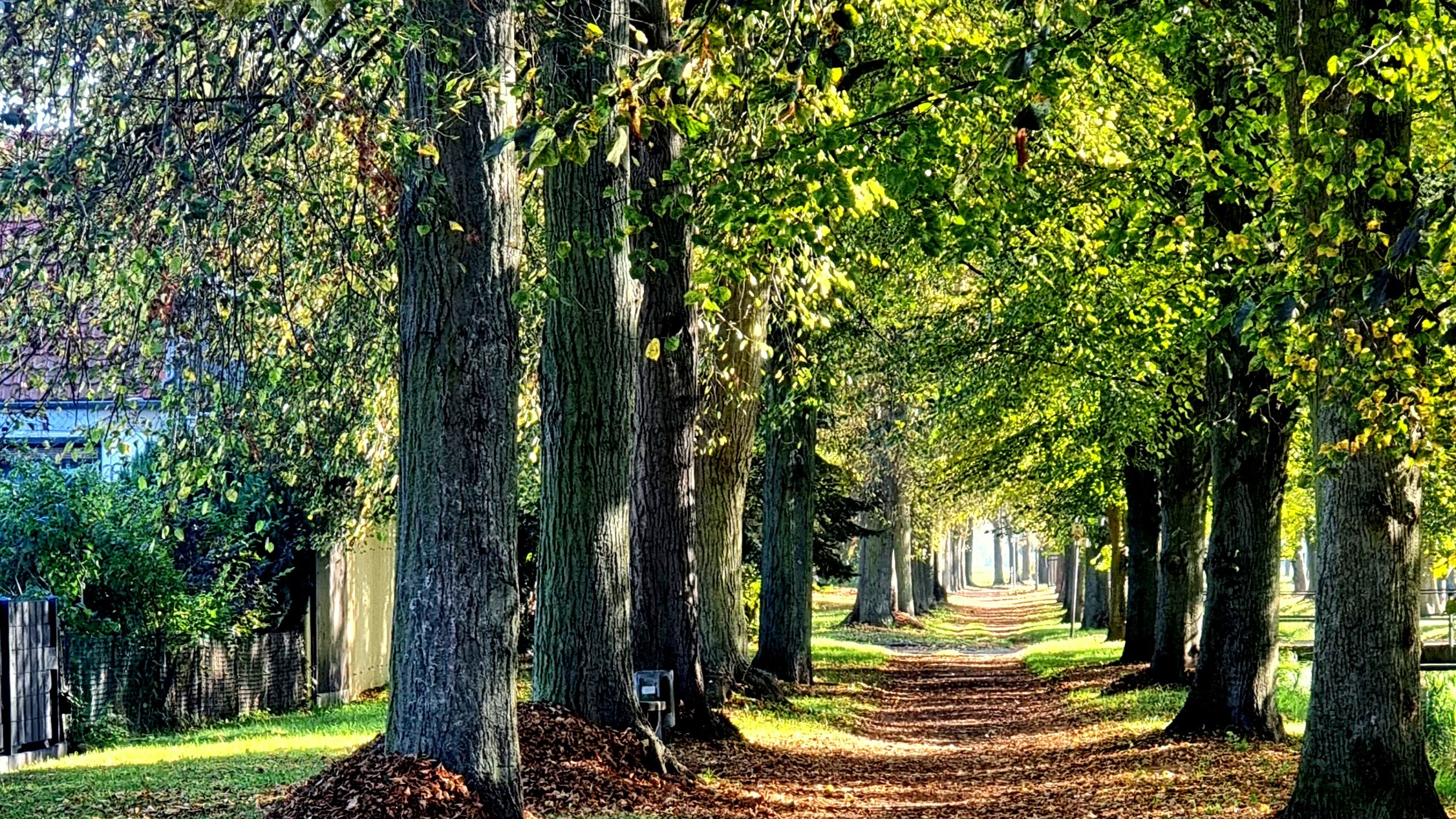 Auf dem Weg zum Schlosspark an der leicht müffelnden Wasche