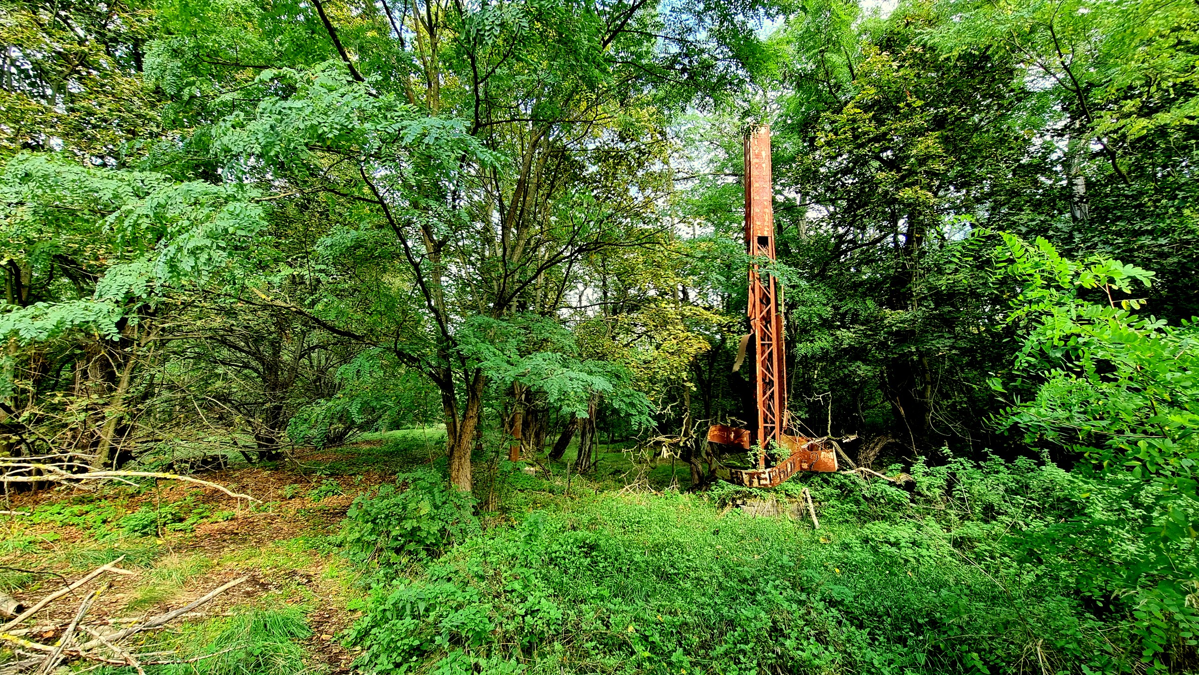 Ein sowjetisches Denkmal im Wald