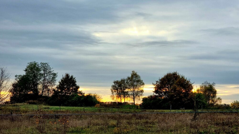 Ein letzter Blick auf die Sonne