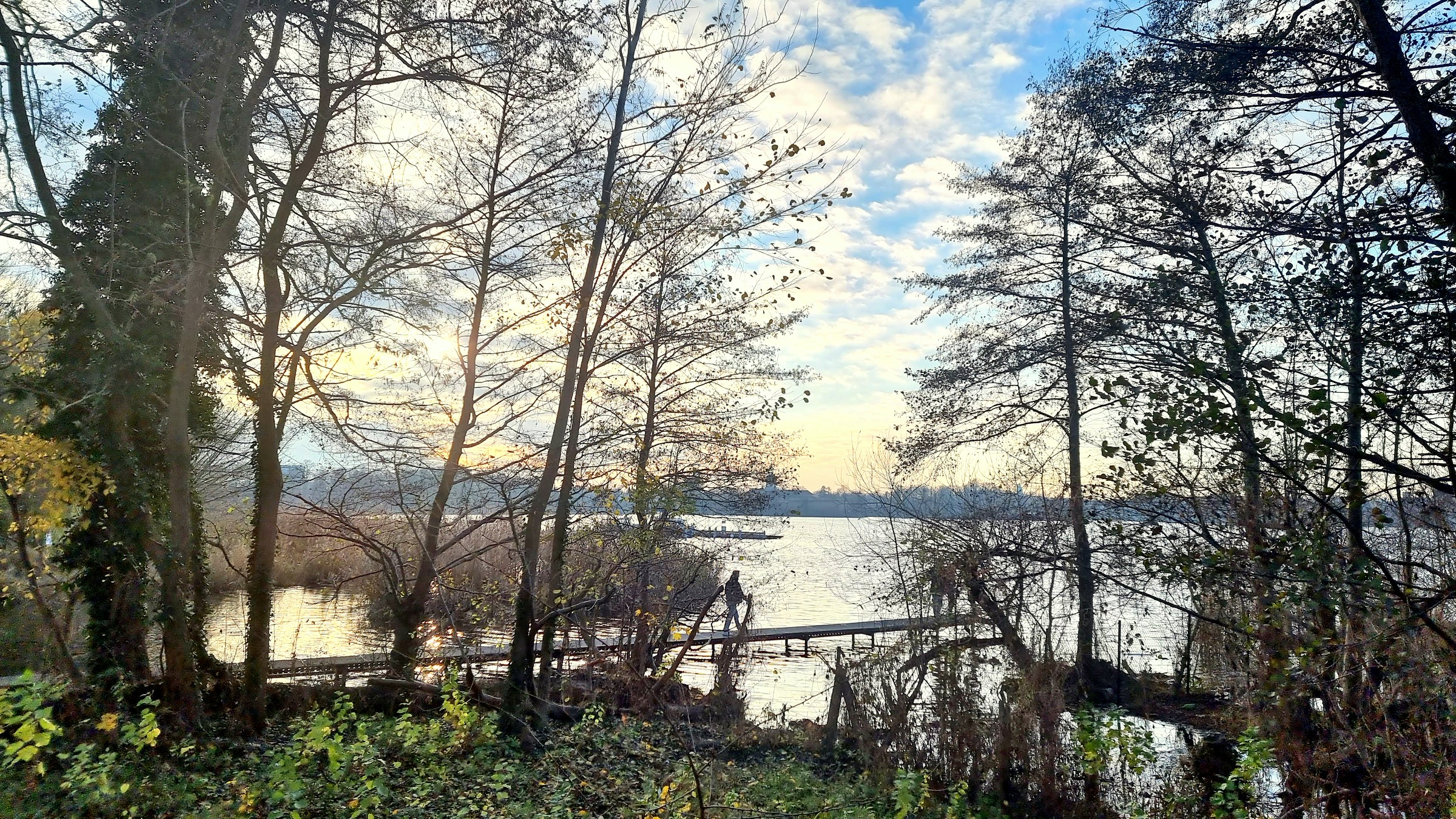 Am Ufer des Krienicker Parks