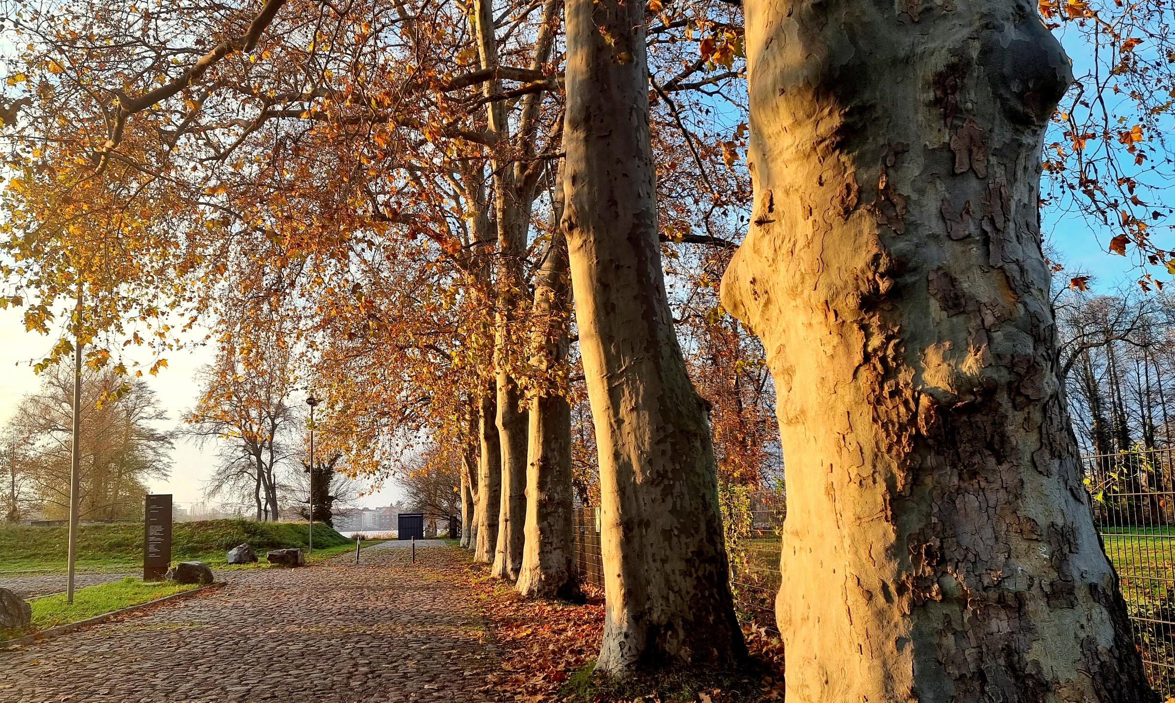 Alle im Gebiet der ehemaligen Havelwerke