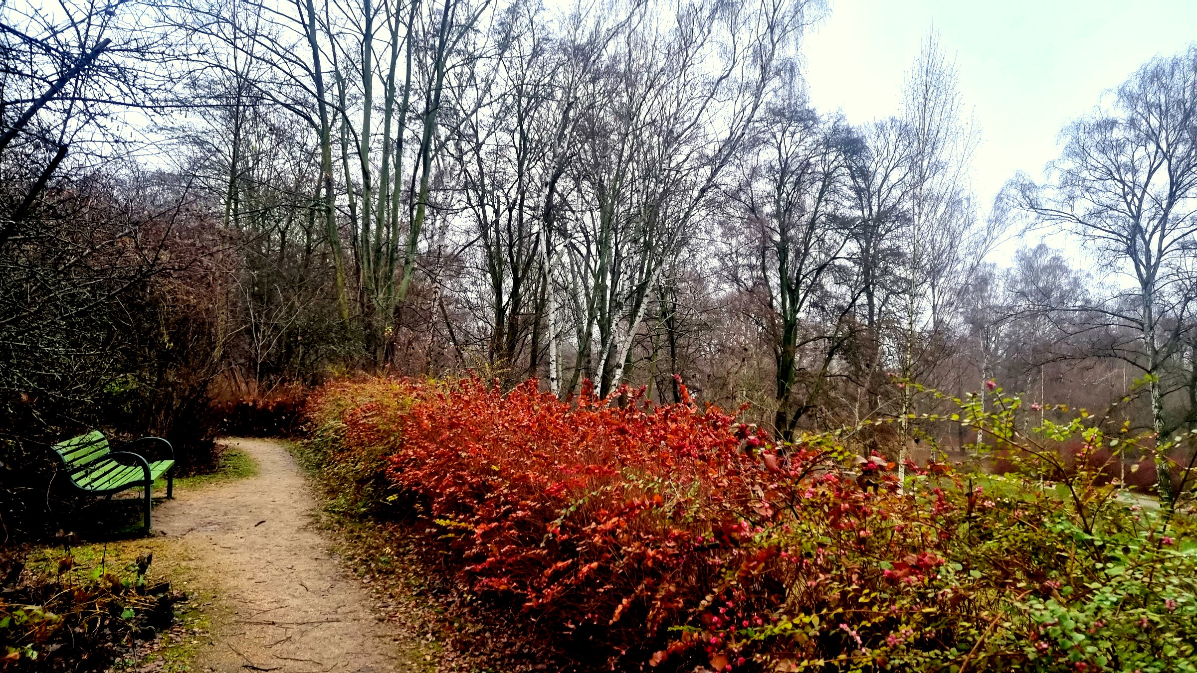 Verschlungene Seitenwege