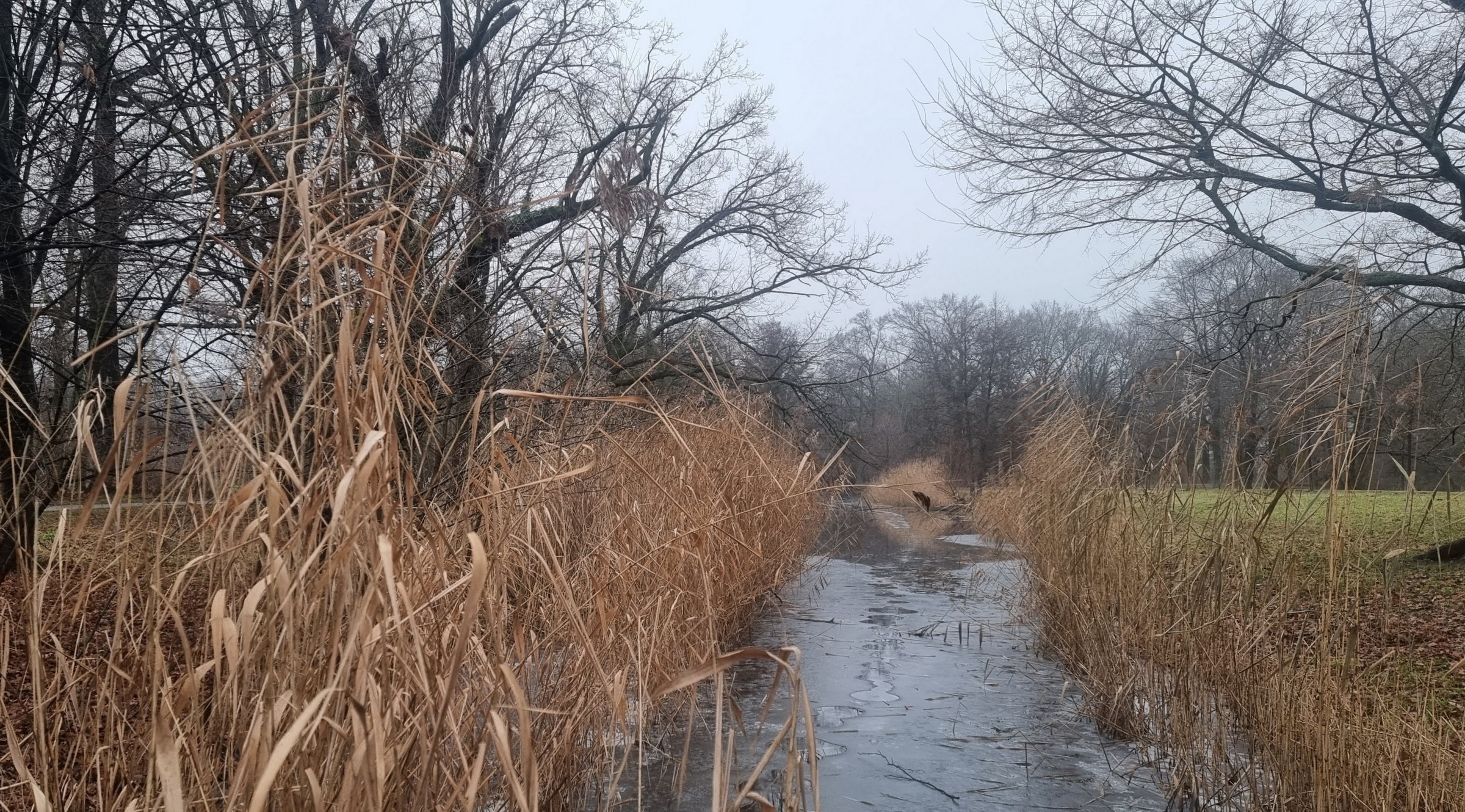 Blick in den Luisengraben