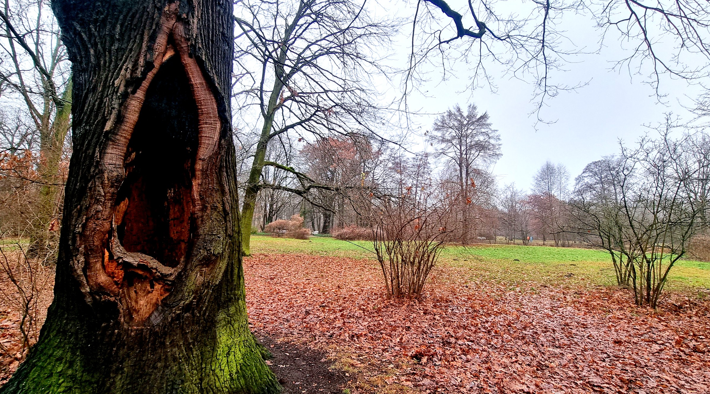 Ein Elfentor in eine andere Welt