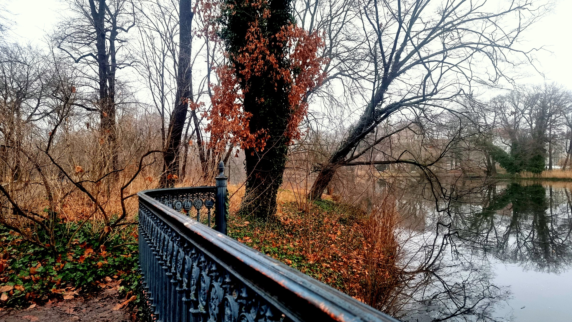 Ein letzter Blick auf den Karpfenteich