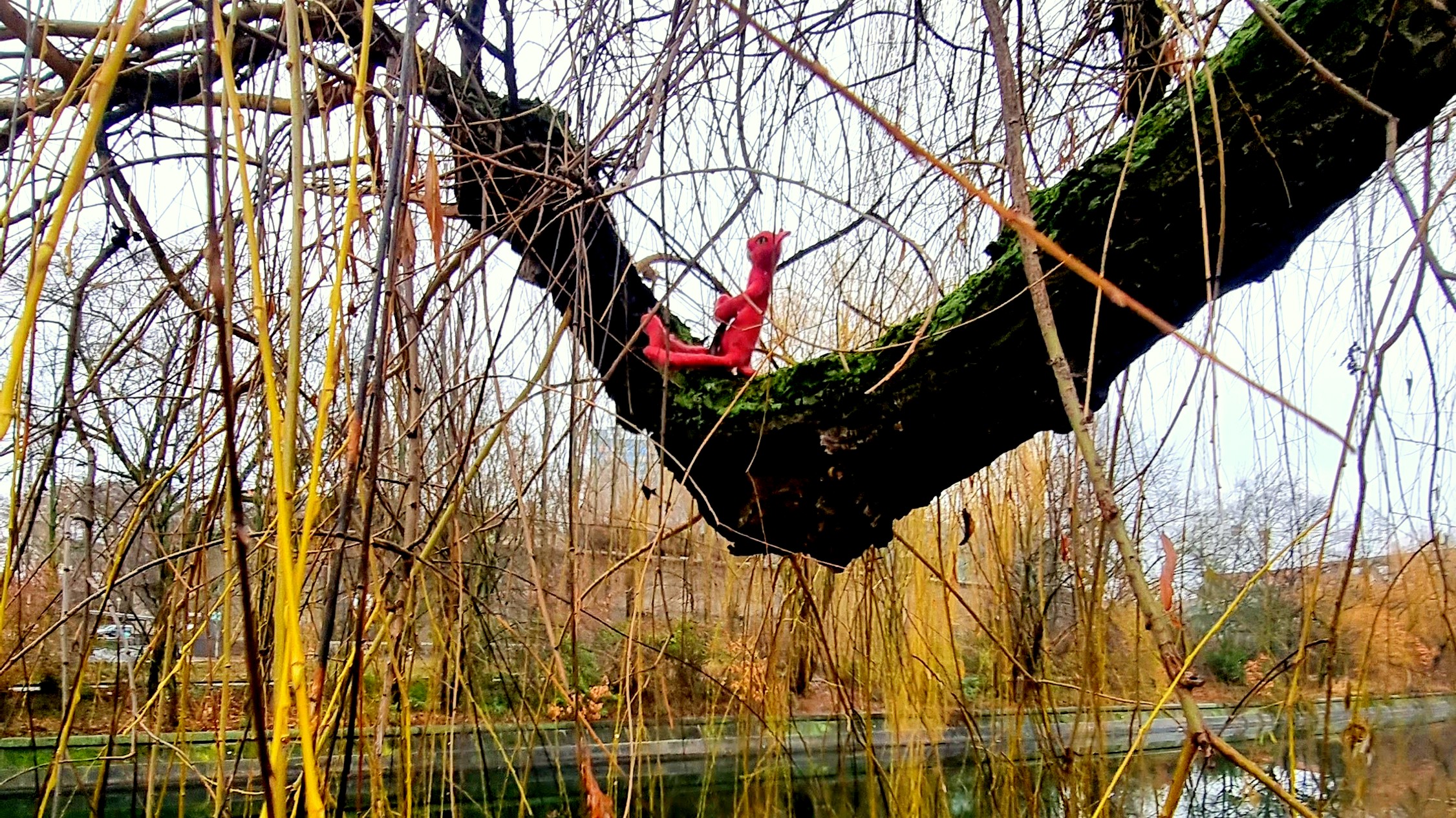 Eine Entdeckung am Landwehrkanal