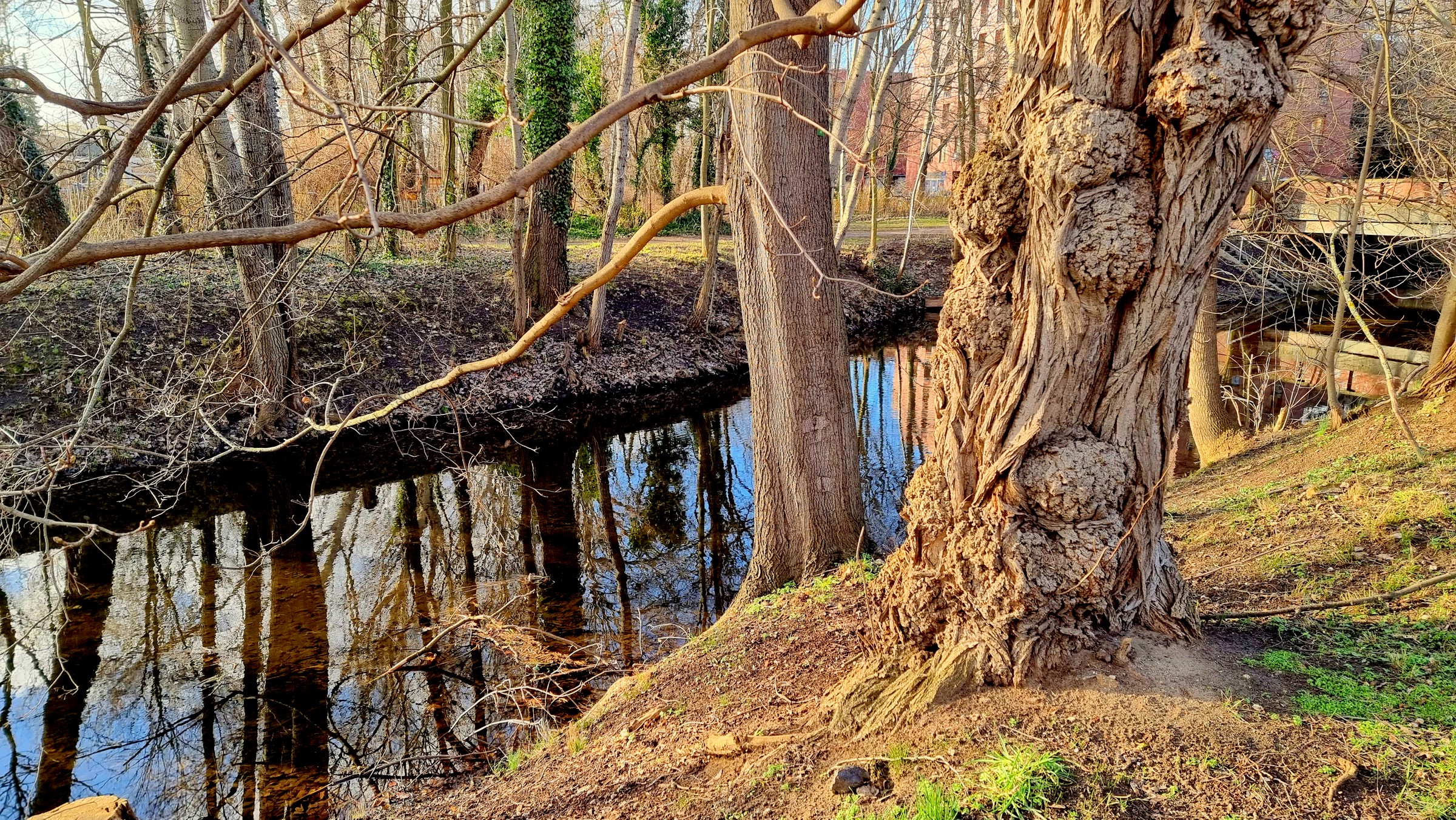 Der Abzugsgraben nähe U Bahnhof Haselhorst