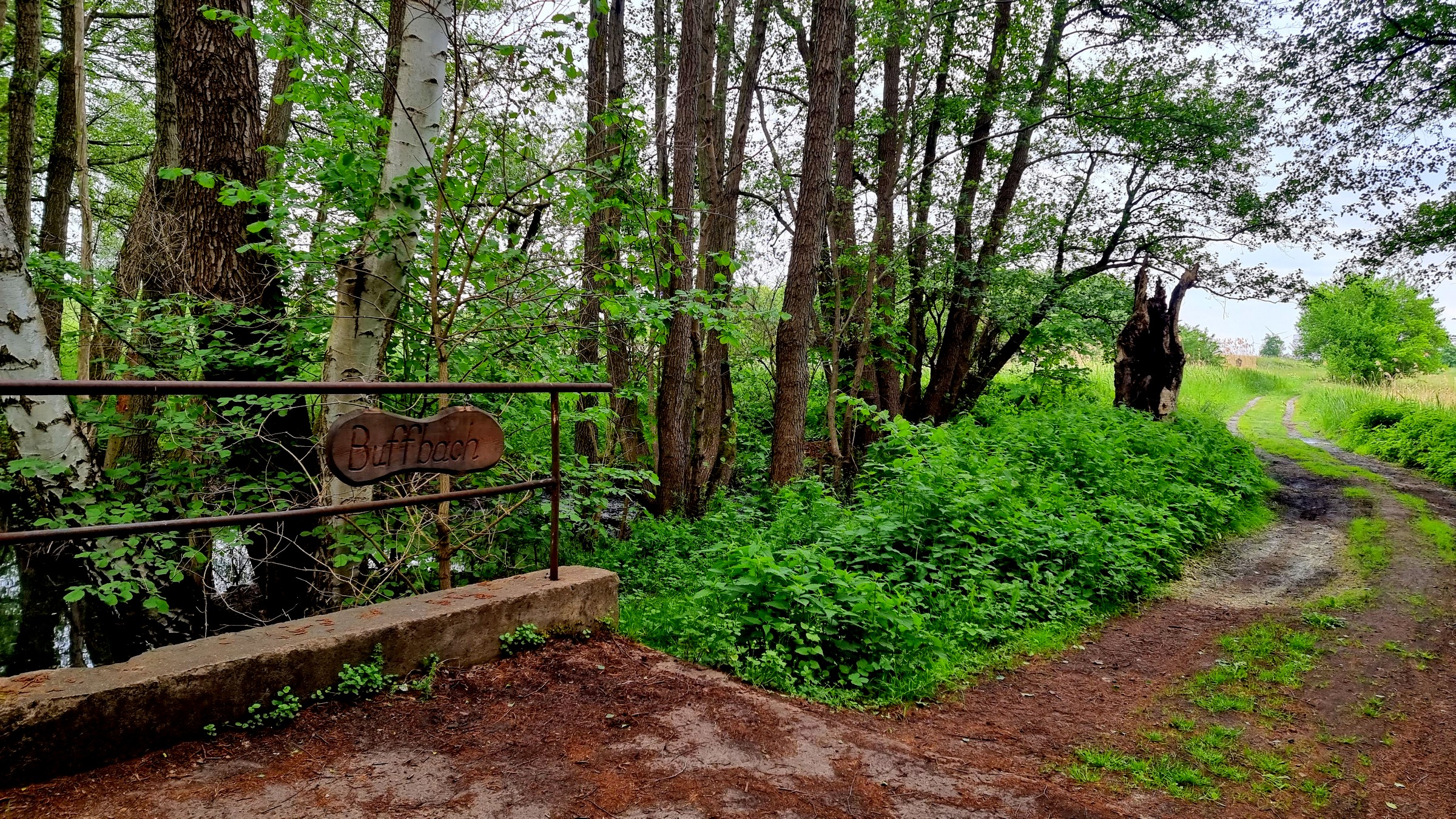 Am Buffbach kämpften die Ritter