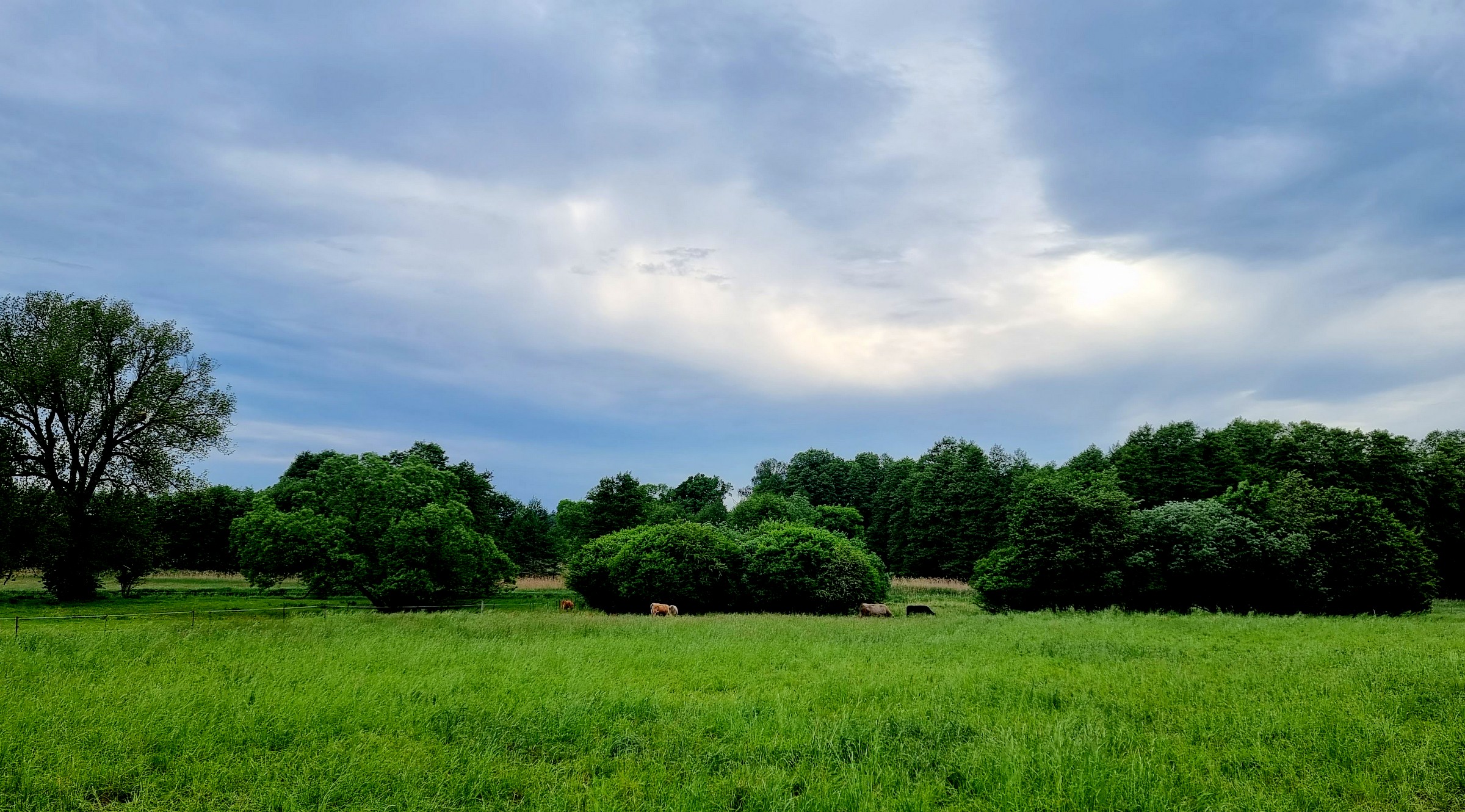 Landschaftsimpression